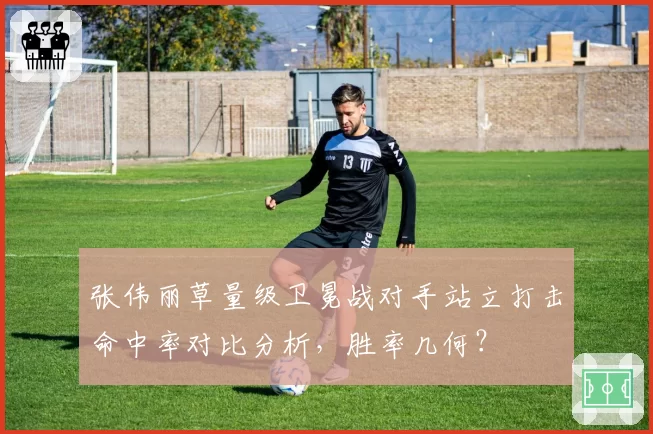 张伟丽草量级卫冕战对手站立打击命中率对比分析，胜率几何？