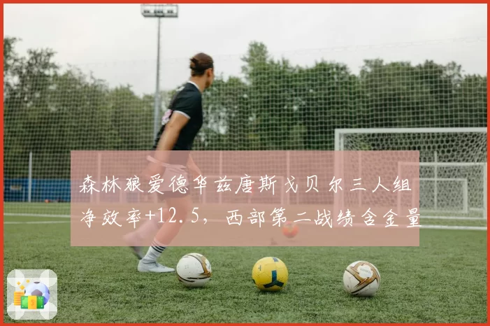 森林狼爱德华兹唐斯戈贝尔三人组净效率+12.5，西部第二战绩含金量十足