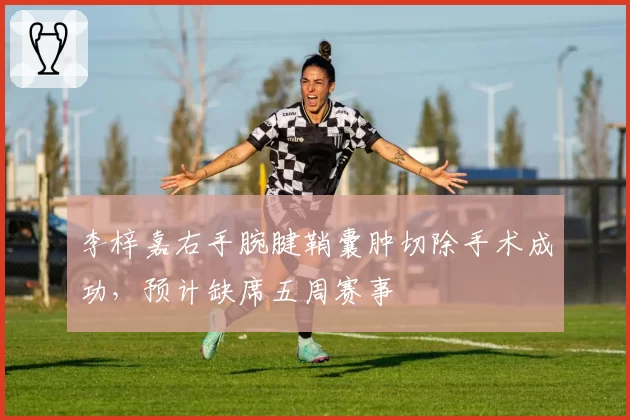李梓嘉右手腕腱鞘囊肿切除手术成功,预计缺席五周赛事