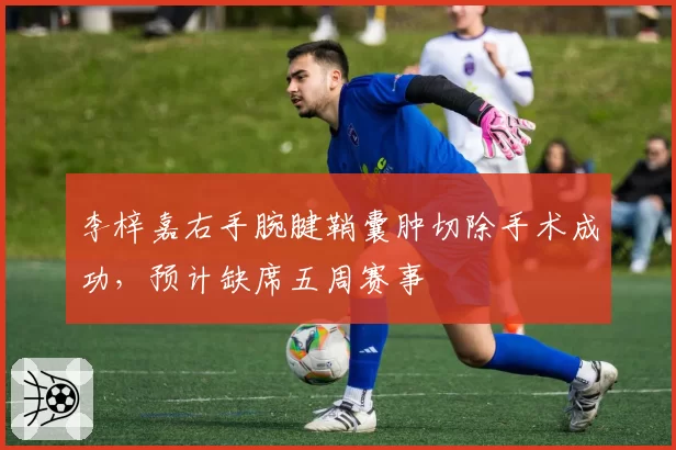 李梓嘉右手腕腱鞘囊肿切除手术成功，预计缺席五周赛事